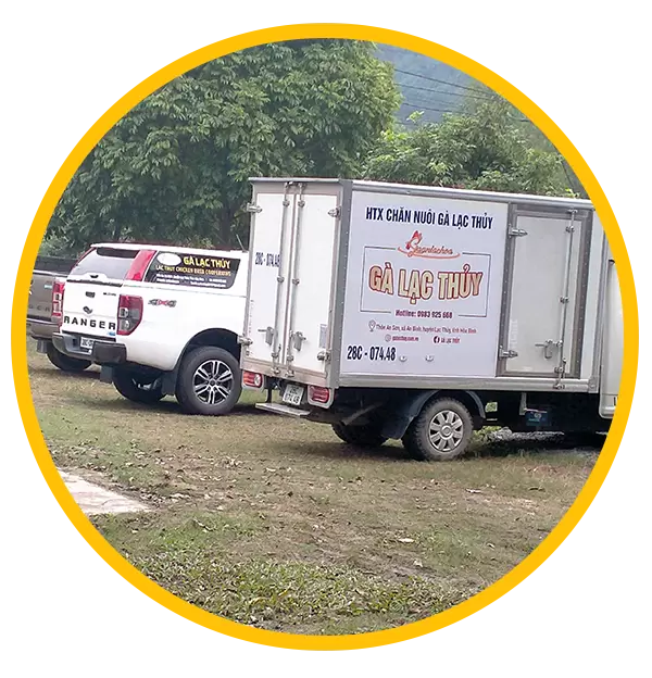 Mạng lưới liên kết đầu ra rộng khắp