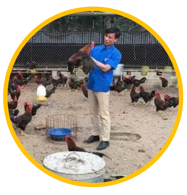 Tư vấn chăn nuôi toàn diện